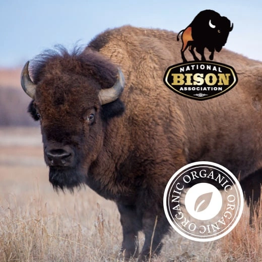 Bison Meat