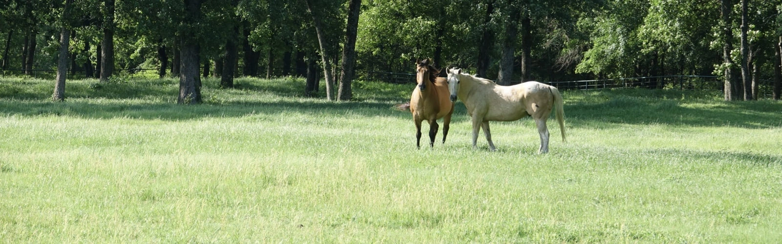 Location Harlan Farms